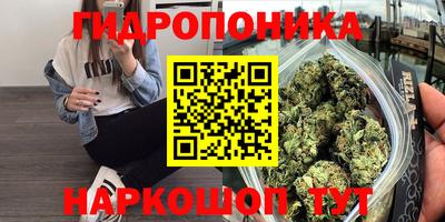 ешки Будённовск