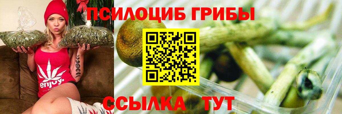 Аксай  Псилоцибиновые грибы MAGIC MUSHROOMS  Вход с VPN 
